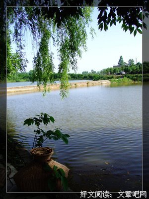 倾诉|离婚后，我妈最嫉妒的女人是她，可惜她成不了她，也代替不了