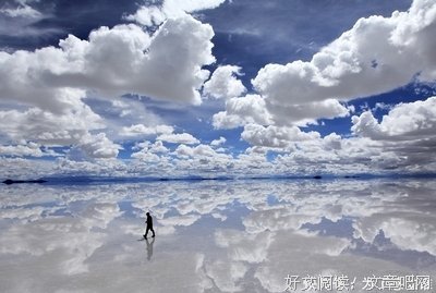 《来到好作生来到好作着想他心开孩也我过当桃花》语录摘抄大全