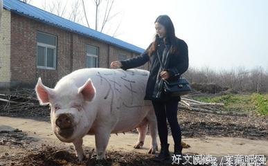 如果觉得生活太难，请一定要看看这12张图