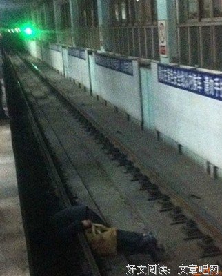 我的男人是爬虫类读后感锦集