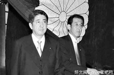 流浪金三角读后感100字