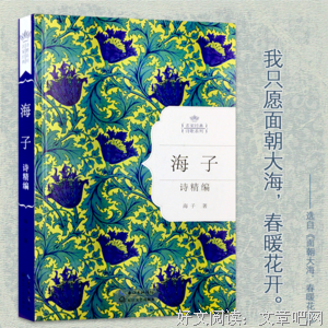 海子诗全编读后感锦集