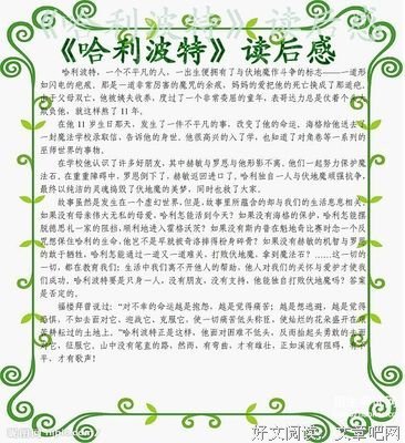 哈利·波特与火焰杯读后感1000字