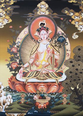 唐卡的故事(全彩插图珍藏本)读后感摘抄