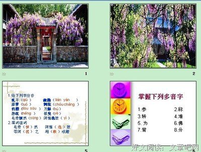《清塘荷韵》读后感100字