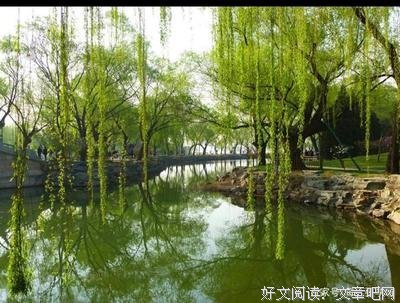 先知三部曲读后感锦集
