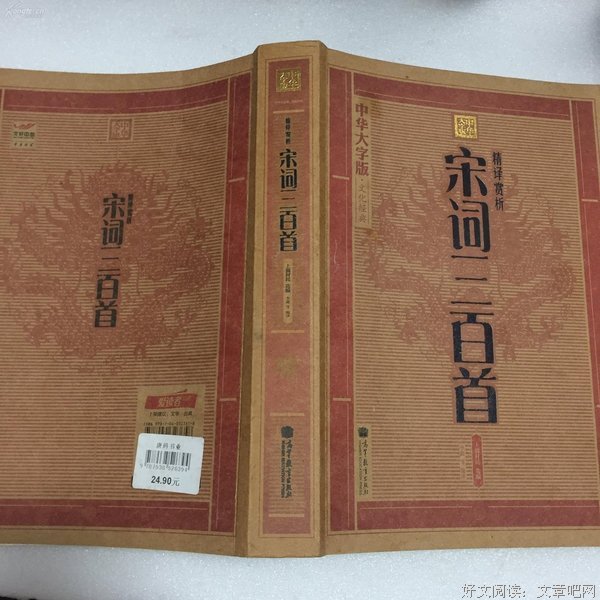 宋词三百首经典读后感有感