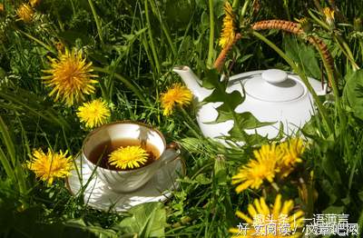 《副作用》影评摘抄
