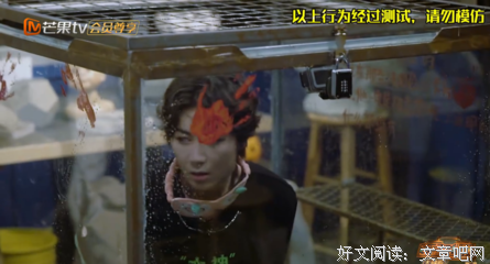 《逃脱》经典观后感集
