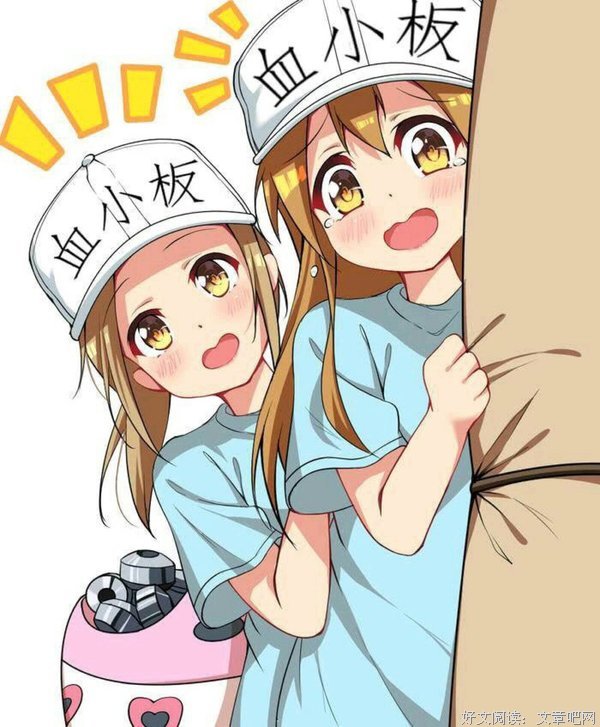 《工作细胞 第二季》经典观后感有感