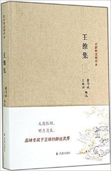 王维集校注（全四册）读后感1000字