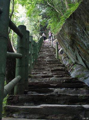《时光易逝，韶华不后外》的句子