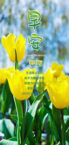 梦的优美句子
