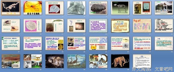 有关素材的句子