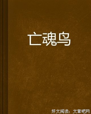 亡魂鸟读后感1000字