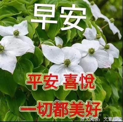 关于时光荏苒的唯美语录