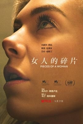《企鹅·布鲁姆》观后感精选
