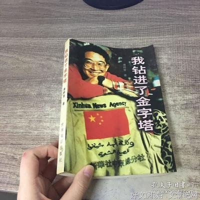 我钻进了金字塔读后感锦集