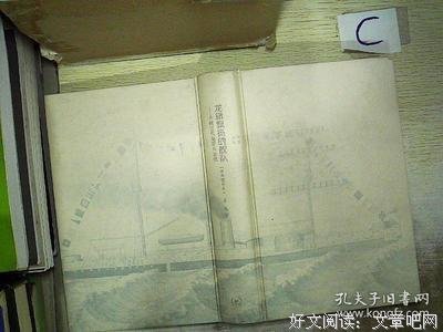 龙旗飘扬的舰队经典读后感有感