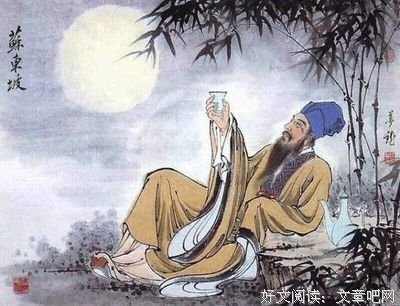 苏东坡传经典读后感有感