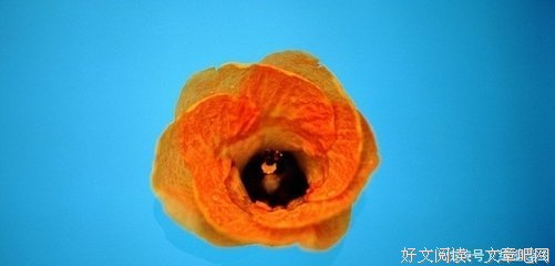 烟花易冷，心如初经典的句子