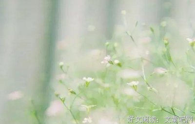 所为伊人句子大全