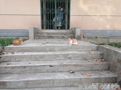 地大些美好好词好句