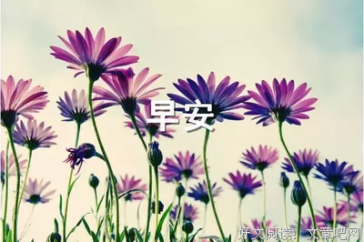 关于加油，努力！的优美句子