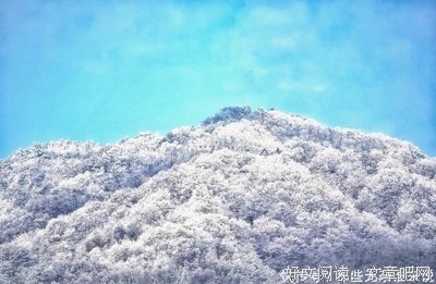 2019芳姐名言大全