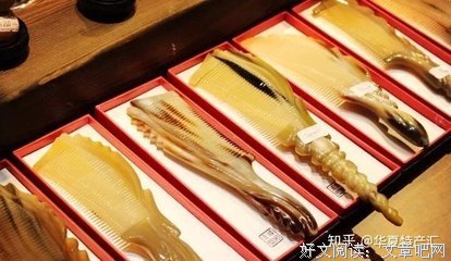 《南国野兽》经典观后感1000字
