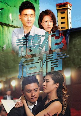 《护花危情》经典影评有感