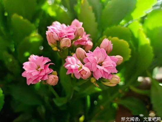 心沉下去，生活才满溢出来 