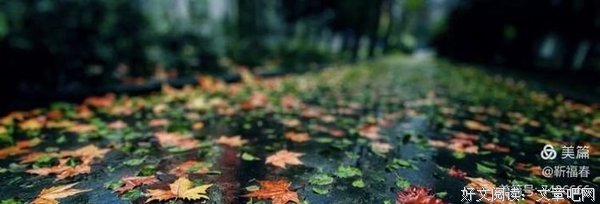 雨滴读后感1000字