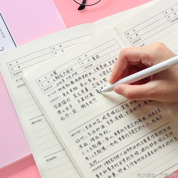 梦想成真手帐读后感摘抄