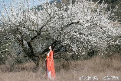 半（深度好文）