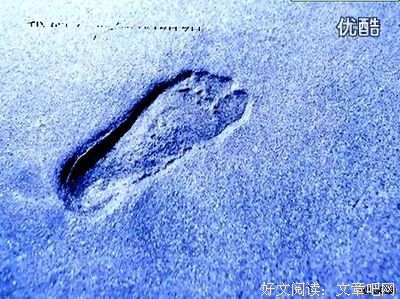 也许年山小们喜欢这格那的你经典名句
