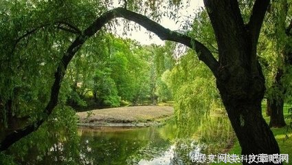 曾经们岁带不我感动过经典名句