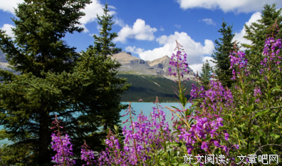 时过境迁的优美句子