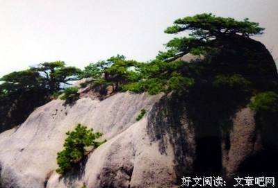 晴雪雨比气在名句欣赏