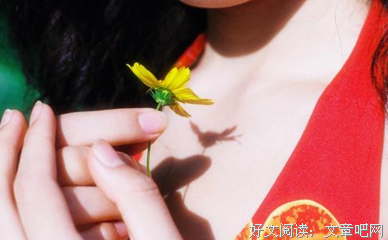 荷西的名言