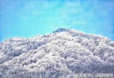 莫争名言大全