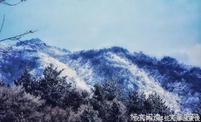 莫莫名言