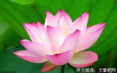 萧纲的名言