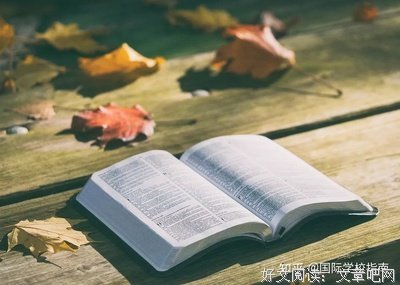 最新的《井》经典名句