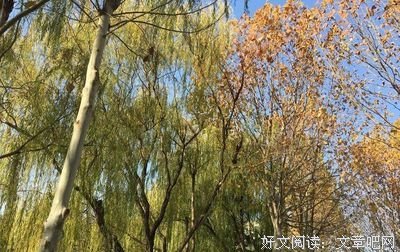 年底了，清空自己，让心归零！