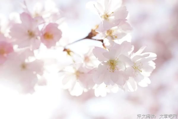 敬你一月无波澜，祝你二月不悲欢