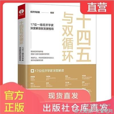 《十四五与双循环:17位一线经济学家深读解读 新发展格局》读后感