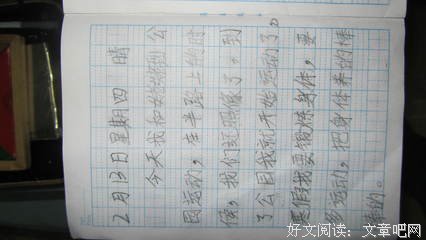 《木偶的森林》读后感精选