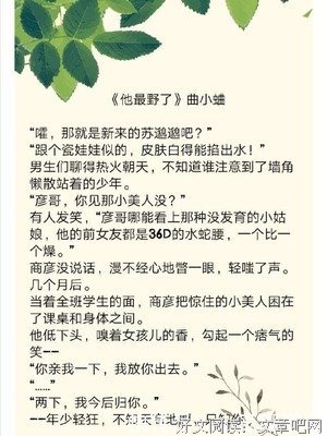 《他最野了》读后感100字