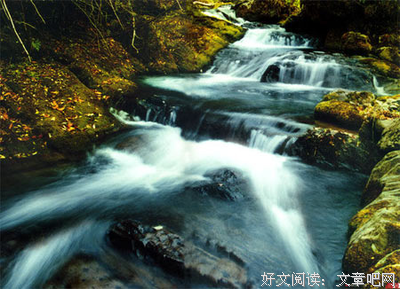 翩翩起舞的名句_关于翩翩起舞的名句